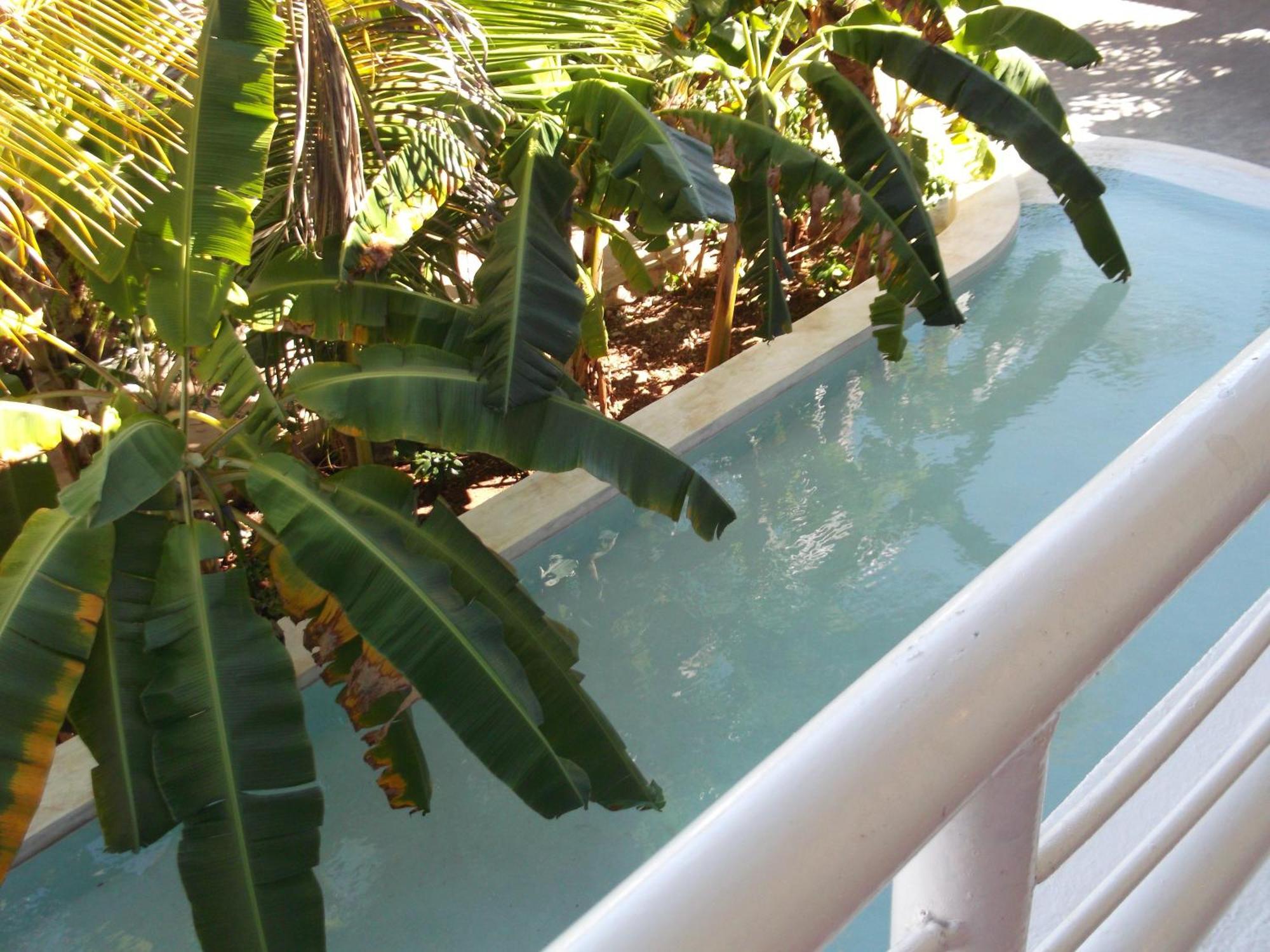 Kobe House Bed & Breakfast Jambiani  Ruang foto